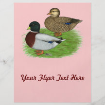 Ducks:  Grey Calls Full Color Flyer
