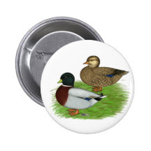 Ducks:  Grey Calls Pinback Button