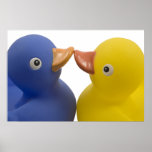 Ducks in love - poster