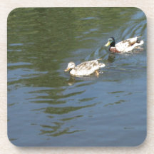 Ducks Male and Female Coasters