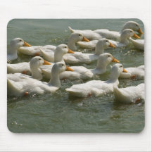 ducks mouse mats