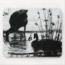 Ducks Mousepads