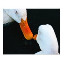 Ducks on a Date photo print!