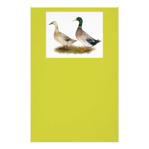 Ducks:  Silver Welsh Harlequin Stationery