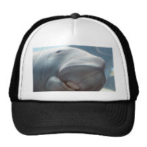 Dugong Smile Hat