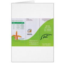Dunas folder lado2.tif panfleto ecológico do parqu cartões