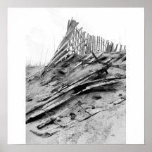 Dune Fence Print