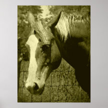 Dunnit in Sepia Tint Print