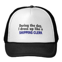 During The Day I Dress Up Like A Shipping Clerk Mesh Hat