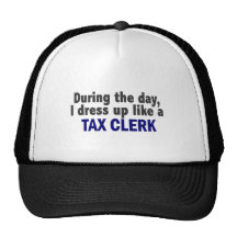 During The Day I Dress Up Like A Tax Clerk Trucker Hats