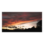 Dusk Forest 2 Custom Photo Card