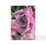 Dusky Pink Rose Greeting Card