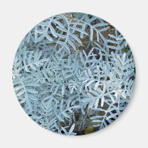 Dusty Miller Senecio Viravira Jardin des Plantes Refrigerator Magnet