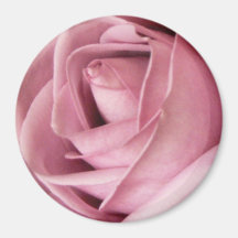 Dusty Pink Rose Magnets