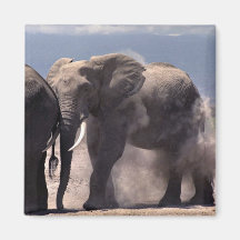 Dusty place refrigerator magnet