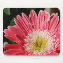 Dusty Rose Gerbera Daisy Mousepad