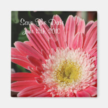 Dusty Rose Gerbera Save The Date Magnet