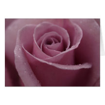 Dusty Rose Greeting Card
