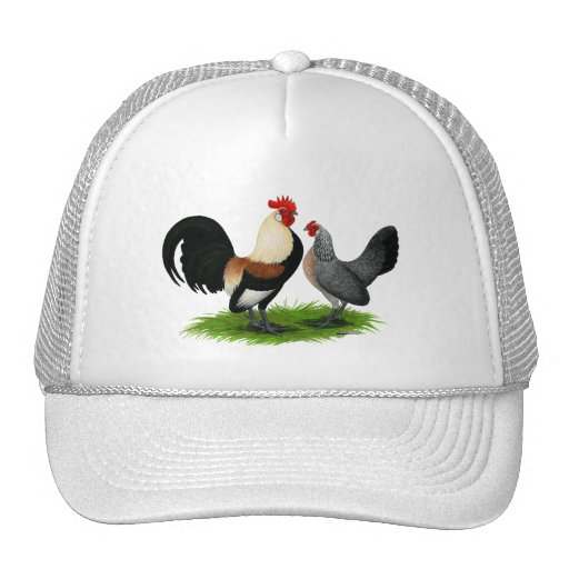 Dutch Bantams:  Cream Light Brown Hat