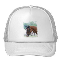 Dutch Warmblood Horse Baseball Hat