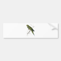 Dwarf Parrakeet-Maccaw by Edward Lear Bumper Sticker