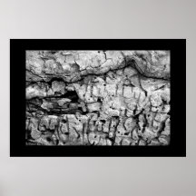 Dwellings Poster