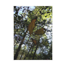 dwindling leaf stretched canvas print