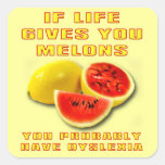 Dyslexia Melons Funny Sticker
