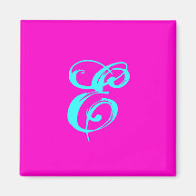 "E" Initial Magnet