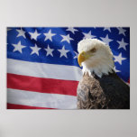 Eagle and American Flag Print