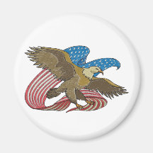 Eagle embroidered fridge magnets