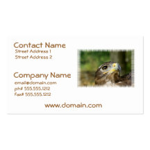 Eagle Eye Business Cards