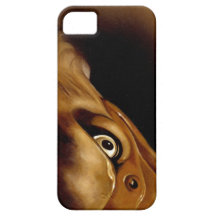 Eagle Eye iPhone 5 Covers