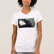 eagle eye (light) shirt
