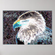 Eagle Eye Print