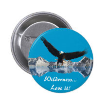 EAGLE FLIGHT Collection Pinback Button