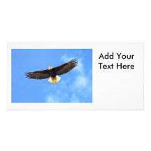 Eagle Flying Photo Card Template