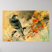 Eagle on Maple Branch 1884 Poster