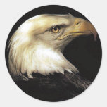 Eagle Stickers