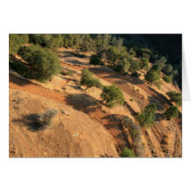 eAgLe'S eYe vIeW Greeting Cards