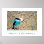 Early Bird Poster