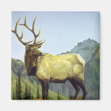 Early morning mist, Elk Refrigerator Magnets