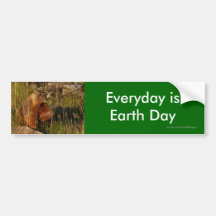 earth day bumper stickers