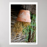 Earwig Hut Posters