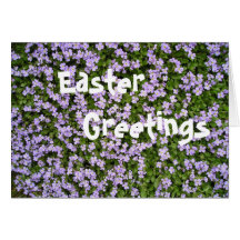 Easter - Abretia / Aubrieta Cards