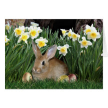 Easter Bunny Cards