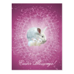 Easter Bunny Magic Postcard postcards