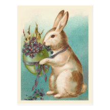 Easter Bunny With Green Egg Postcards