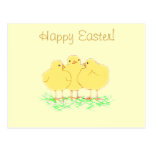 Easter Chicks Postcards