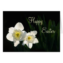 Easter daffodils greeting card